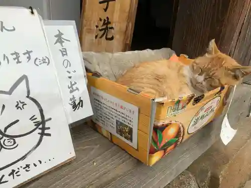 恵林寺の動物