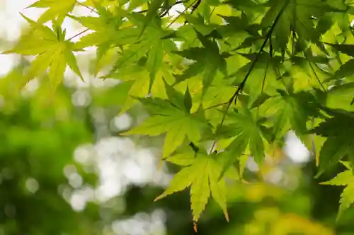 鍬山神社(京都府)
