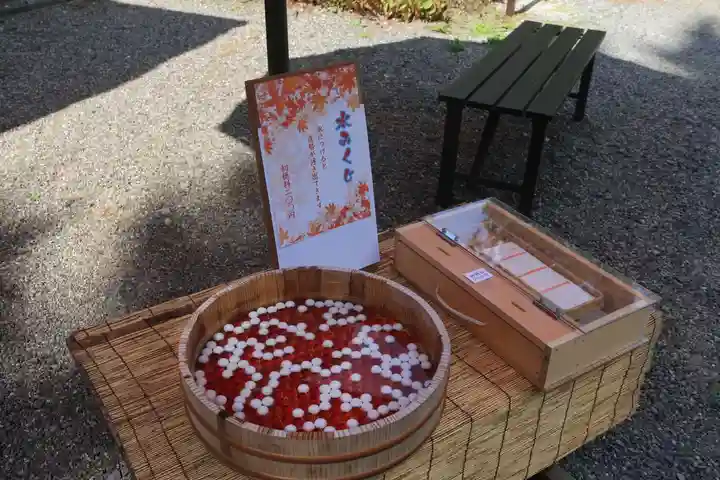 土津神社|こどもと出世の神さまのおみくじ