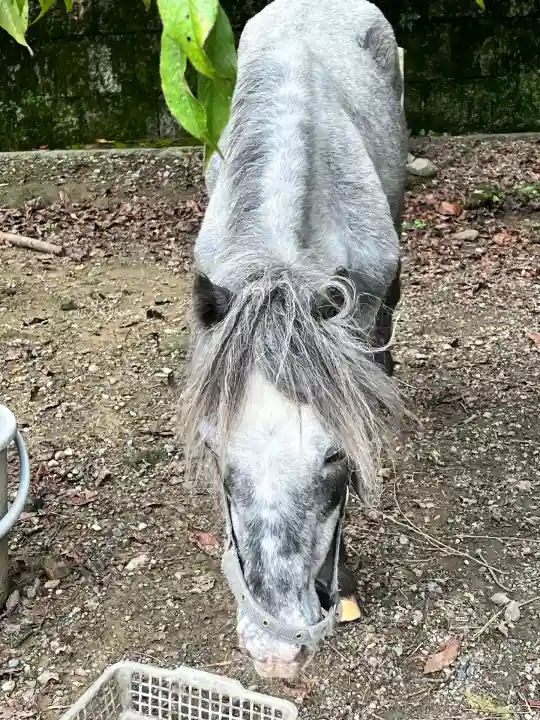 大石神社(京都府)