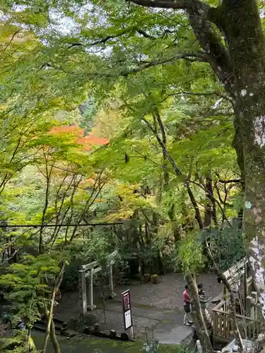 大矢田神社(岐阜県)