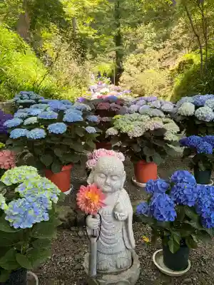 岡寺（龍蓋寺）(奈良県)