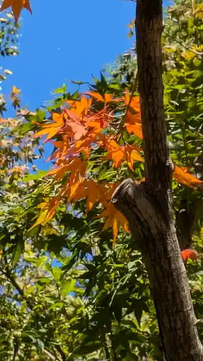 光明寺(粟生光明寺)(京都府)