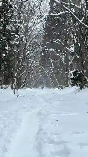 戸隠神社奥社の{uncategorized: "未分類", other: "その他", undefined: "問題あり", building: "その他建物", grave: "お墓", sacred_gate: "鳥居", guardian: "狛犬", statue: "像", buddha: "仏像", history: "歴史", nature: "自然", garden: "庭園", animal: "動物", pagoda: "塔", temizu: "手水舎", mountain_gate: "山門・神門", sanctuary: "本殿・本堂", subordinate: "末社・摂社", art: "芸術", scenery: "景色", jizo: "地蔵", ema: "絵馬", goshuin: "御朱印", omikuji: "おみくじ", items: "授与品その他", amulet: "お守り", goshuincho: "御朱印帳", eats: "食事", festival: "お祭り", votive_dance: "神楽", shichigosan: "七五三参", wedding: "結婚式", experience: "体験その他", initially: "初詣", around: "周辺", anti_infection: "感染症対策"}
