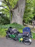 清池八幡神社(山形県)