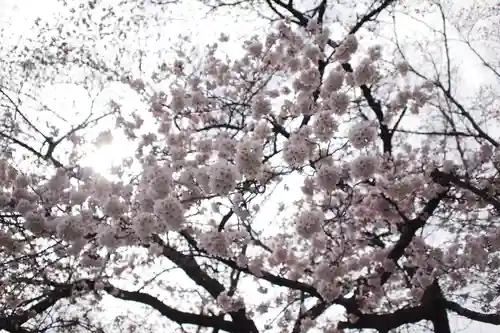 武田廣神社の自然