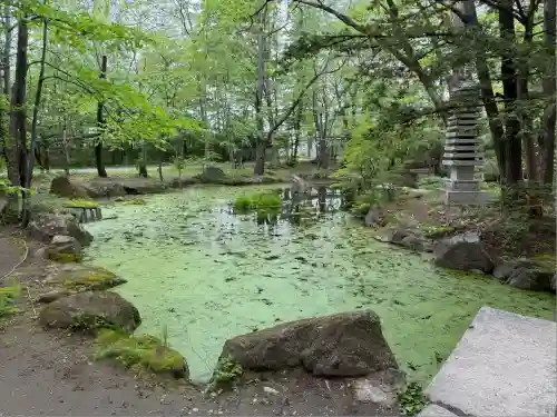 帯廣神社の庭園