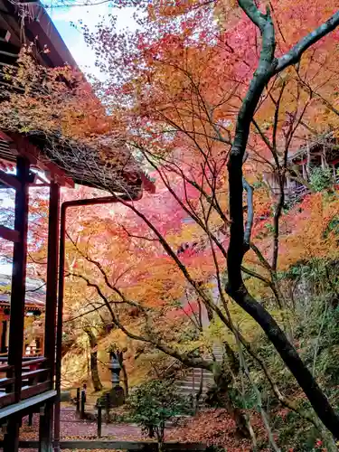禅林寺（永観堂）(京都府)