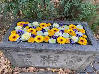 行田八幡神社(埼玉県)