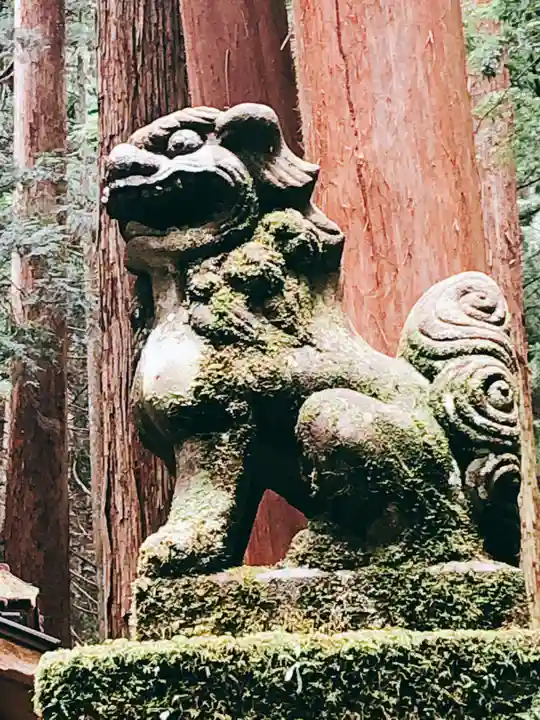 室生龍穴神社の狛犬