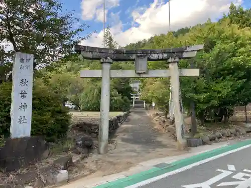 秋葉神社の鳥居