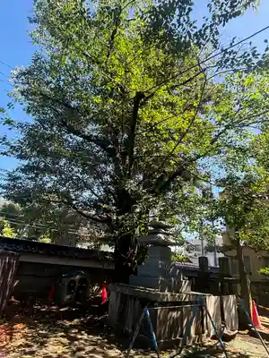 立像寺(石川県)