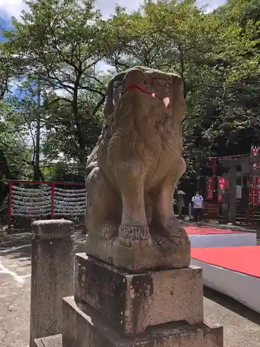 徳島眉山天神社の狛犬