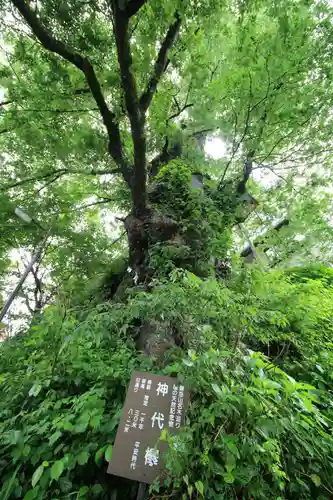 武蔵御嶽神社(東京都)