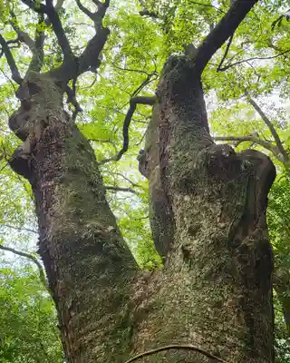 生田神社(兵庫県)
