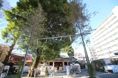 荻窪白山神社のその他建物
