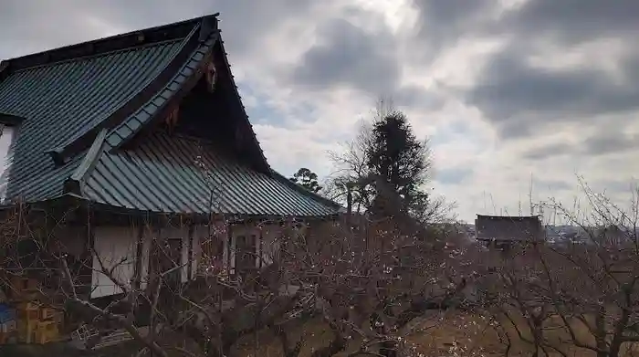 瑞雲寺の建物その他