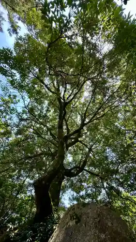 大聖院弥山本堂(広島県)