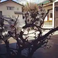 大鏑神社の自然