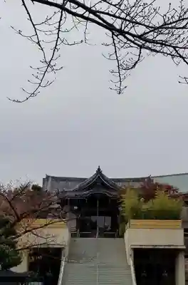 燈明寺のその他建物