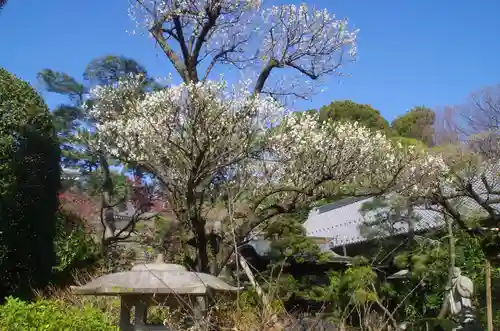 東長谷寺　薬王院の庭園