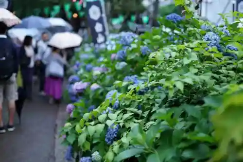 白山神社の自然