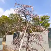 伊勢の国 四天王寺(三重県)
