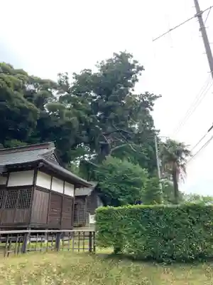 伊豆神社(千葉県)