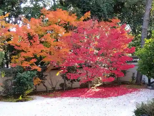廬山寺（廬山天台講寺）(京都府)