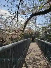 矢切神社の建物その他