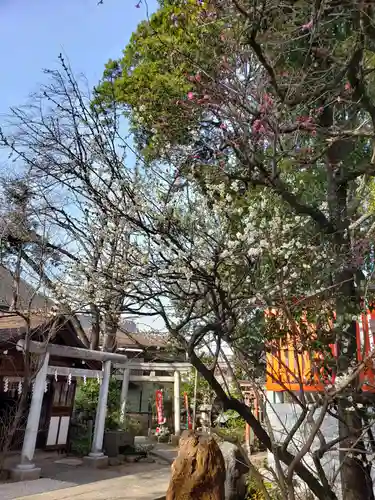 馬橋稲荷神社(東京都)
