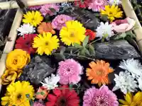 札幌護國神社の手水舎