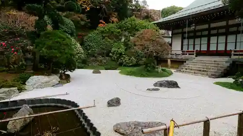 報国寺の庭園