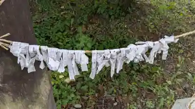 帯広三吉神社のおみくじ