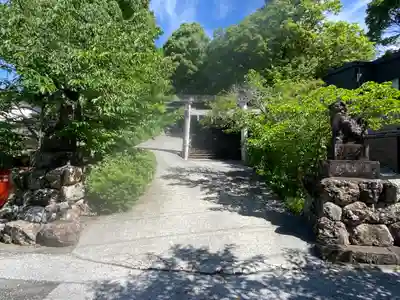 掛川神社(高知県)