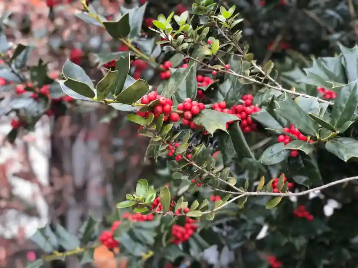 木舟山 順教寺の自然