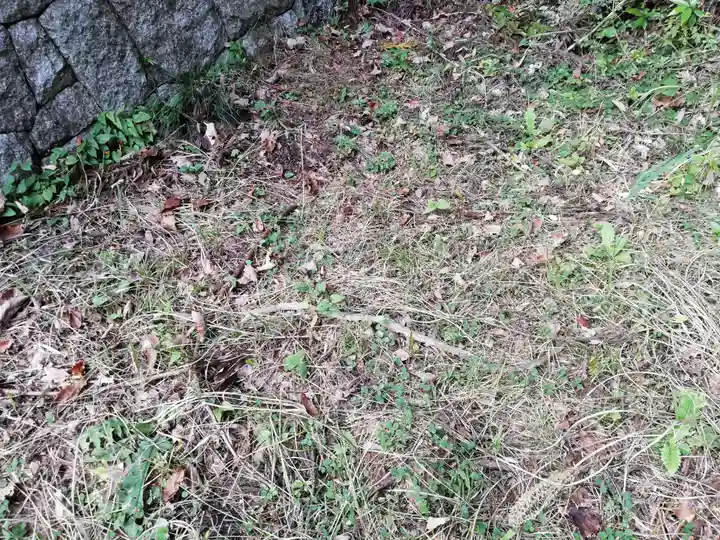 名称不明(神社)の動物