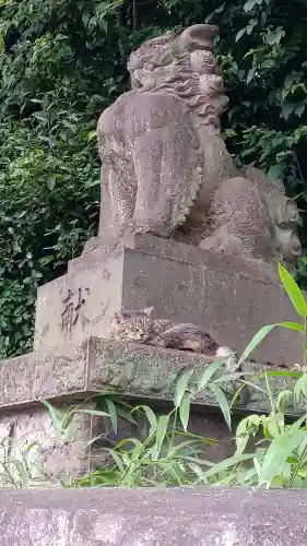 代々木八幡宮の狛犬