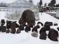 阿弥陀堂(岩手県)