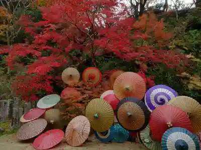 岡寺(龍蓋寺)(奈良県)