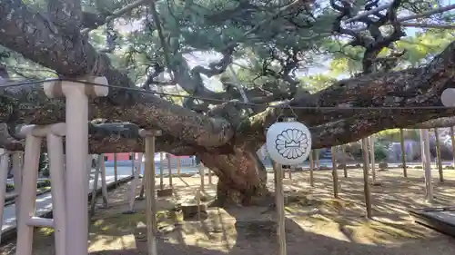 善養寺(東京都)