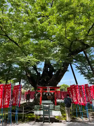 秩父今宮神社(埼玉県)