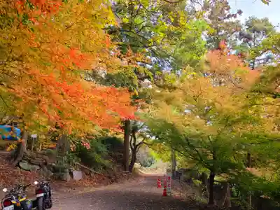 萬寿寺（お不動さん）の自然
