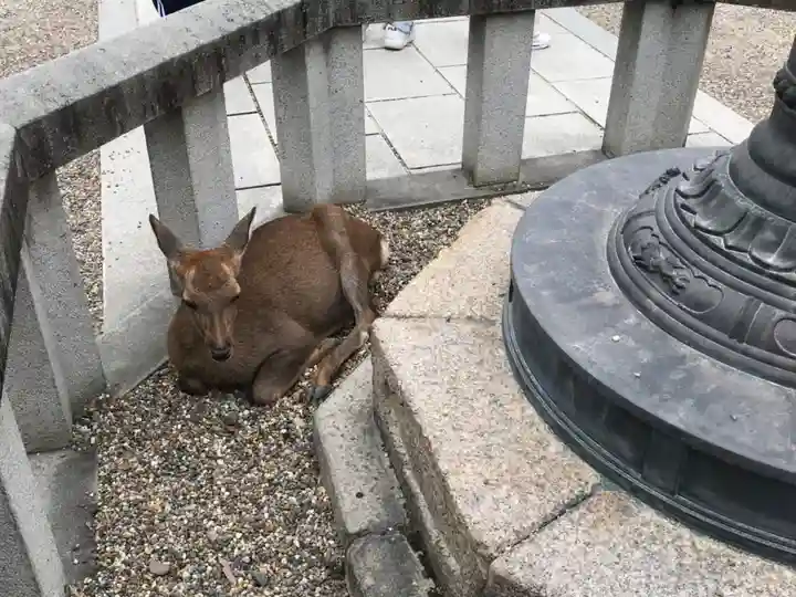 興福寺 南円堂(奈良県)