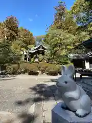 岡崎神社の狛犬