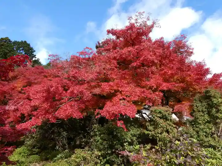 百済寺(滋賀県)