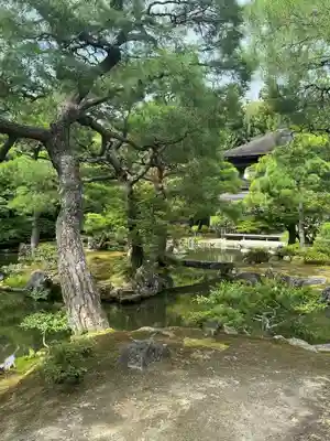 慈照寺（慈照禅寺・銀閣寺）(京都府)