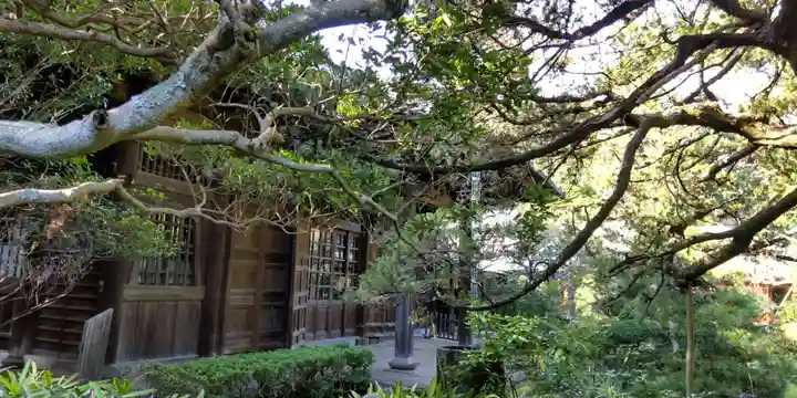 寿福寺(神奈川県)