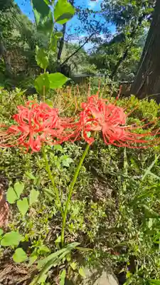 大善寺(山梨県)