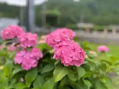 長念寺(埼玉県)